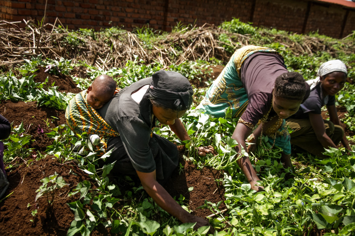 African Women in Health On The Move: StatsCongo – An Initiative To Track Maternal Mortality in the DRC