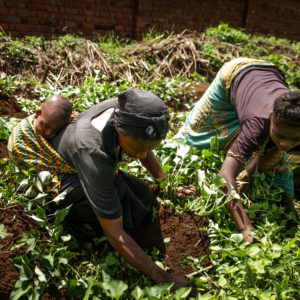 African Women in Health On The Move: StatsCongo – An Initiative To Track Maternal Mortality in the DRC