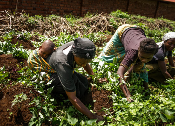 African Women in Health On The Move: StatsCongo – An Initiative To Track Maternal Mortality in the DRC